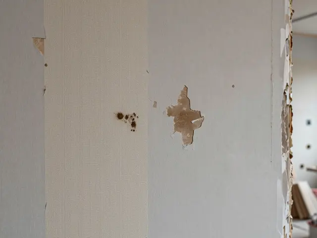 Häufige Renovierungsfehler im Haus: Ursachen, Kosten und Vermeidungsstrategien