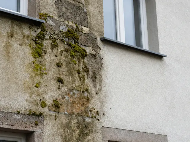 Hochdruckreinigung der Fassade: Schonende Verfahren und Schutz